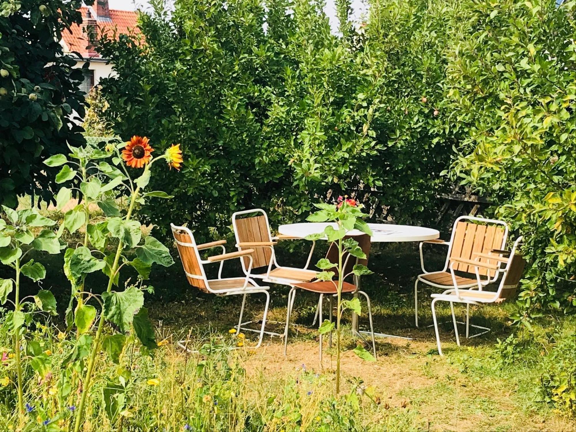 Casa Marcu Wohnung 1 Og Landkirchen المظهر الخارجي الصورة